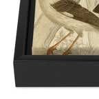 Hoopoes from The Edinburgh Journal, 1835 (benefitting The Nature Conservancy) Framed Canvas Print Gallery Image 3