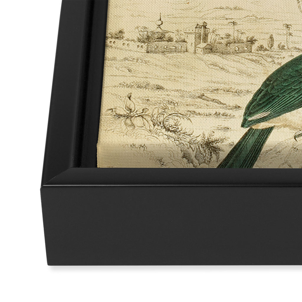 Hornbills from The Edinburgh Journal, 1835 (benefitting The Nature Conservancy) Framed Canvas Print Gallery Image 3
