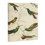 Hummingbirds from The Edinburgh Journal, 1835 (benefitting The Nature Conservancy) Canvas Print Gallery Image 6