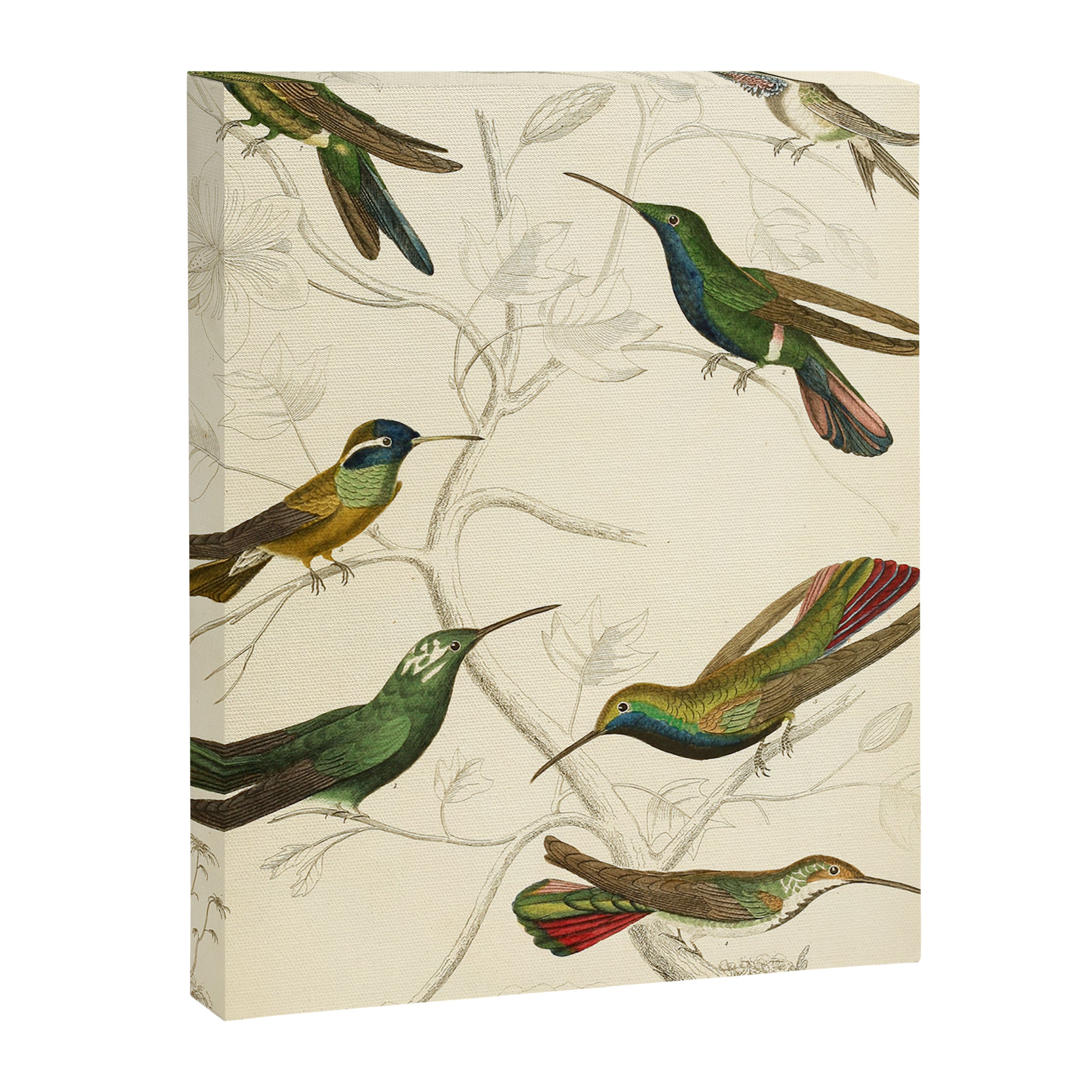 Hummingbirds from The Edinburgh Journal, 1835 (benefitting The Nature Conservancy) Canvas Print Gallery Image 6