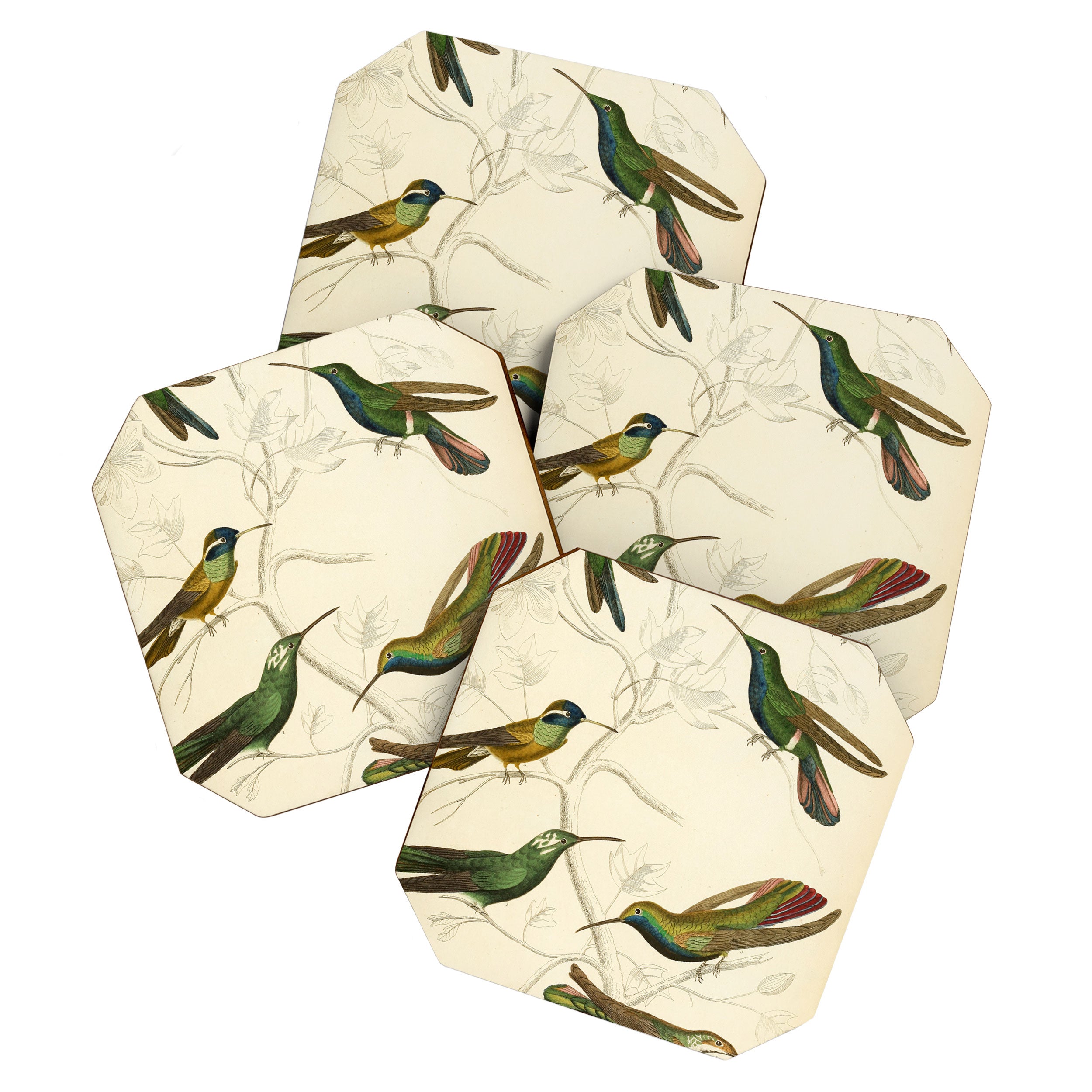Hummingbirds from The Edinburgh Journal, 1835 (benefitting The Nature Conservancy) Coaster Gallery Image 1