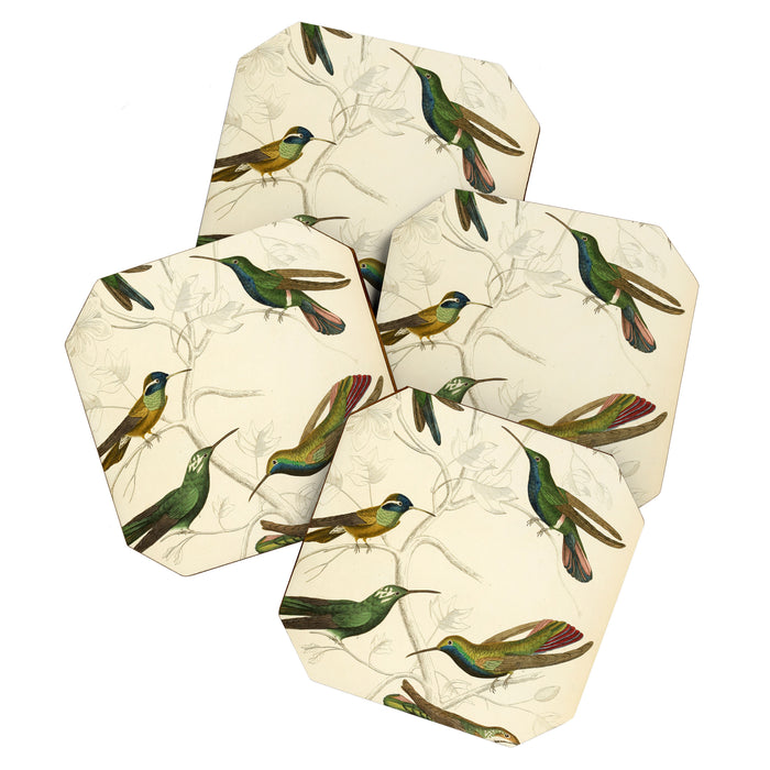 Hummingbirds from The Edinburgh Journal, 1835 (benefitting The Nature Conservancy) Coaster Gallery Image 1