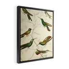 Hummingbirds from The Edinburgh Journal, 1835 (benefitting The Nature Conservancy) Framed Canvas Print Gallery Image 2