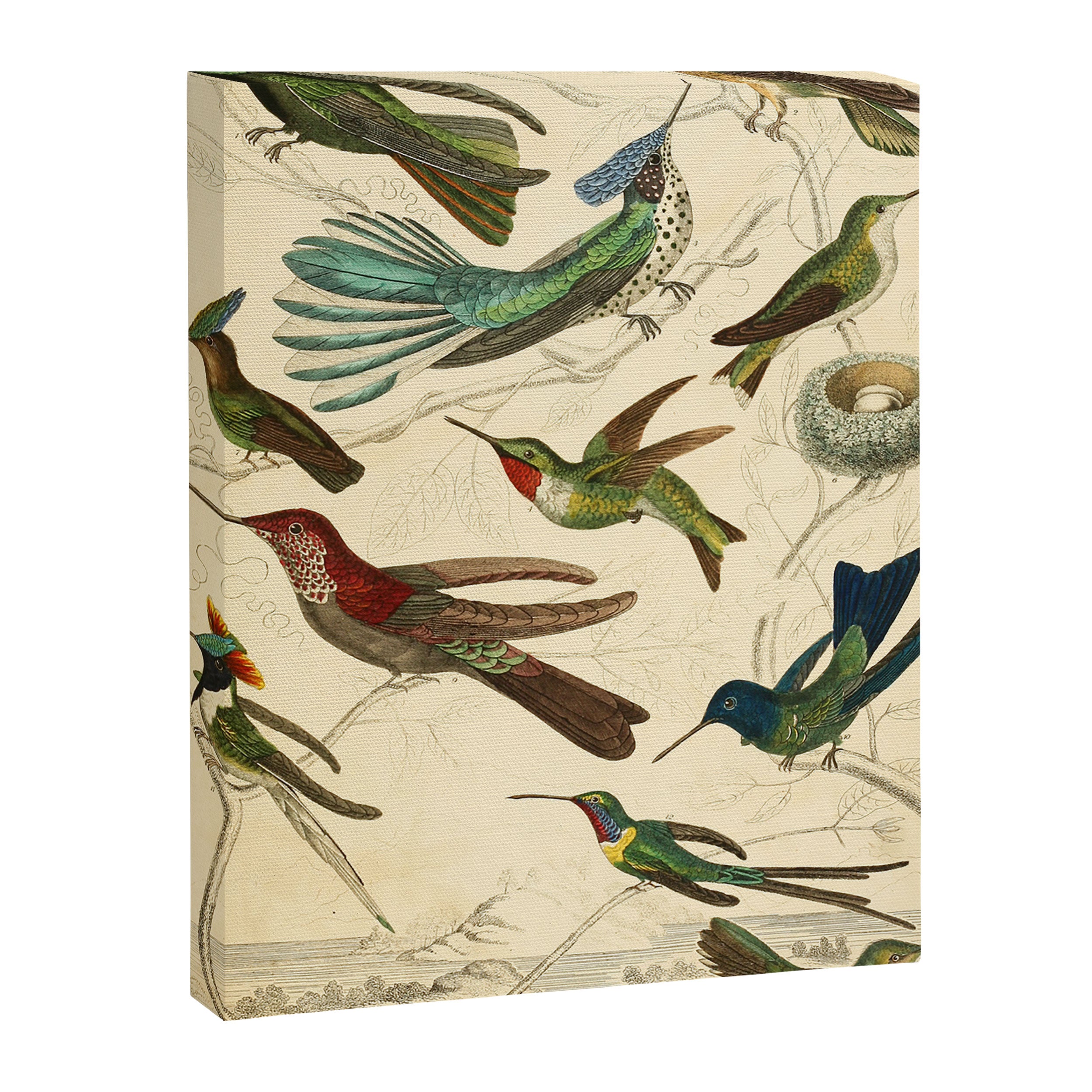 Hummingbirds from The Edinburgh Journal, 1835 (benefitting The Nature Conservancy) Canvas Print Gallery Image 6