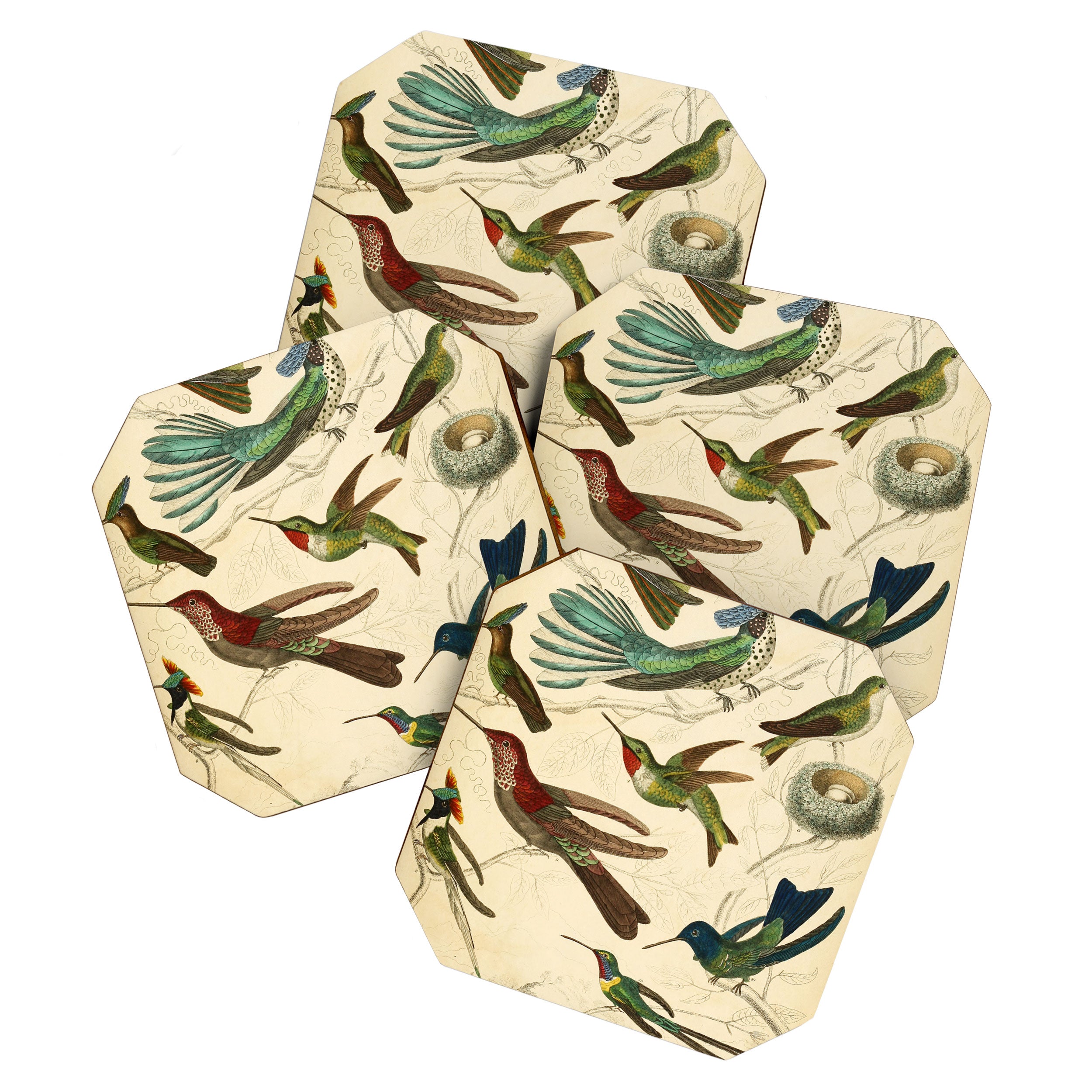 Hummingbirds from The Edinburgh Journal, 1835 (benefitting The Nature Conservancy) Coaster Gallery Image 1