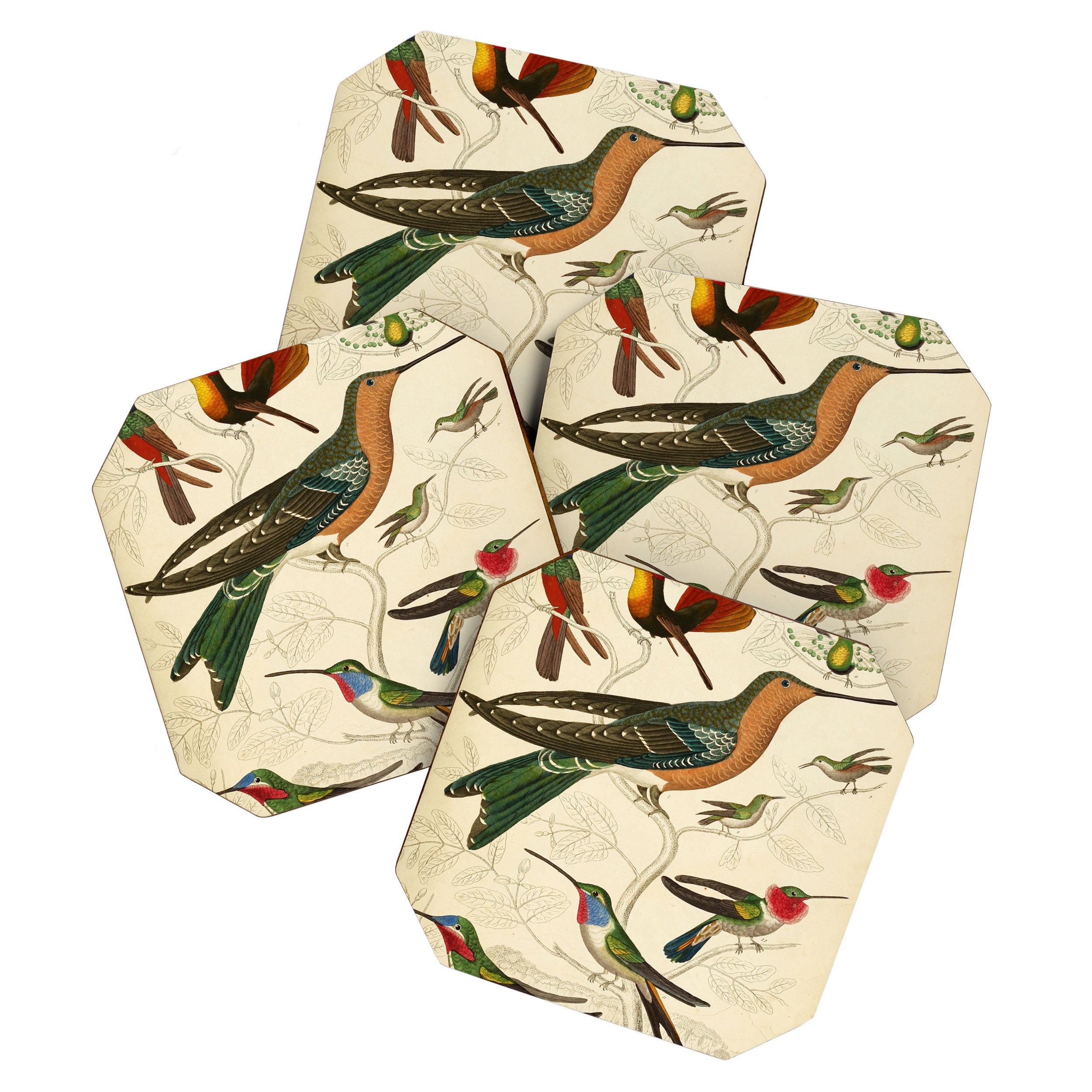 Hummingbirds from The Edinburgh Journal, 1835 (benefitting The Nature Conservancy) Coaster Gallery Image 1