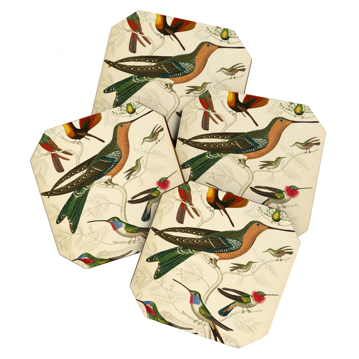 Hummingbirds from The Edinburgh Journal, 1835 (benefitting The Nature Conservancy) Coaster Gallery Image 1