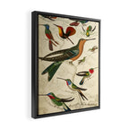 Hummingbirds from The Edinburgh Journal, 1835 (benefitting The Nature Conservancy) Framed Canvas Print Gallery Image 2