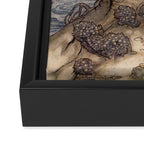 Illustration by Arthur Rackham for "The Tempest" by William Shakespeare Framed Canvas Print Gallery Image 3