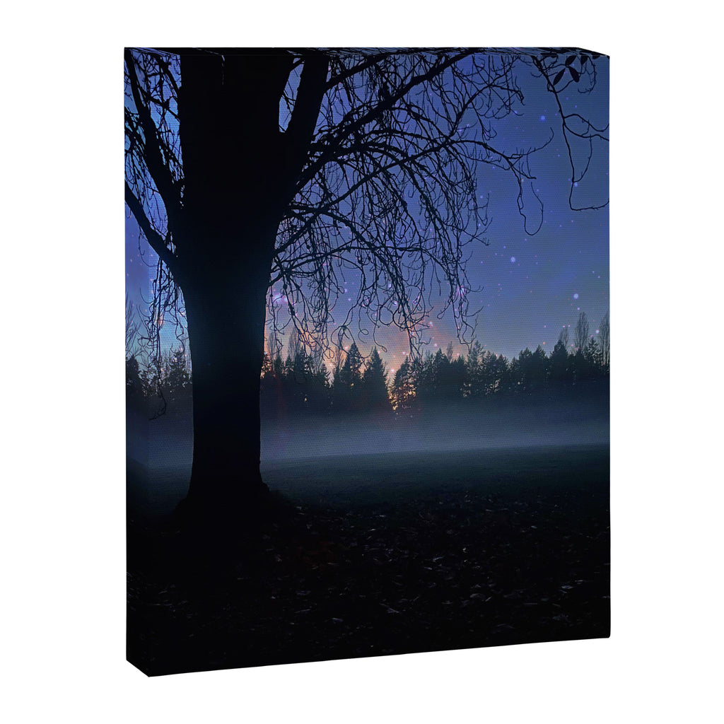 In the Body of Being Canvas Print Gallery Image 6