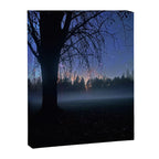 In the Body of Being Canvas Print Gallery Image 6