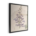 Jacaranda, 1822 Framed Canvas Print Gallery Image 2