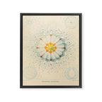 Jellyfish by Ernst Haeckel from his monograph of deep-sea medusae (1879) Framed Canvas Print Gallery Image 6