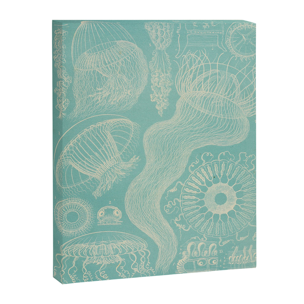 Jellyfish by Ernst Haeckel from his monograph of deep-sea medusae (1879) Canvas Print Gallery Image 6