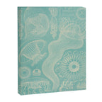 Jellyfish by Ernst Haeckel from his monograph of deep-sea medusae (1879) Canvas Print Gallery Image 6