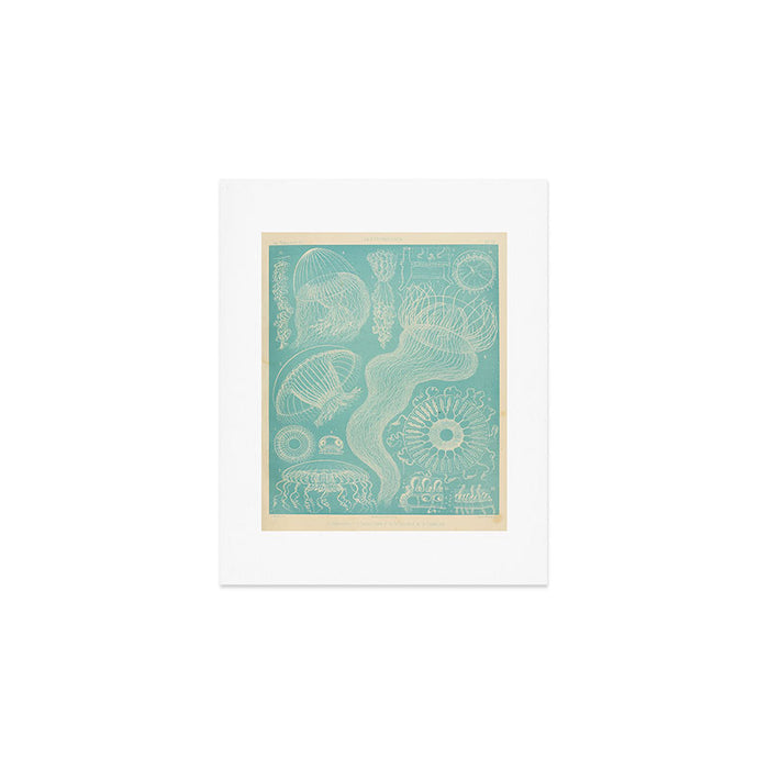 Jellyfish by Ernst Haeckel from his monograph of deep-sea medusae (1879) Art Print Gallery Image 1