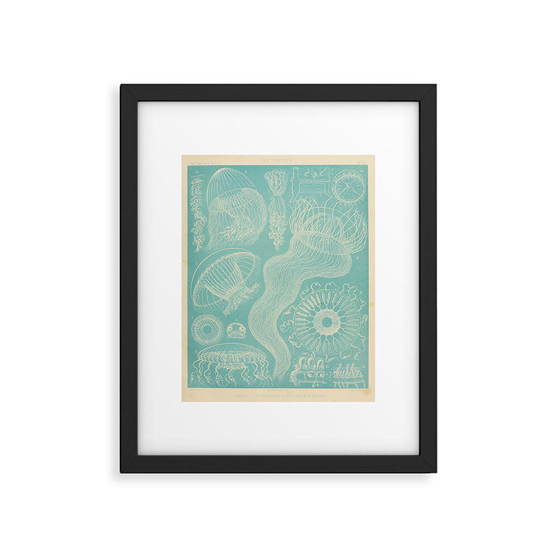 Jellyfish by Ernst Haeckel from his monograph of deep-sea medusae (1879) Framed Art Print Gallery Image 5