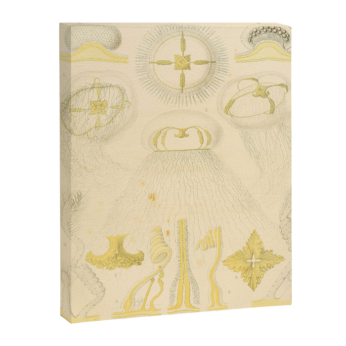 Jellyfish by Ernst Haeckel from his monograph of deep-sea medusae (1879) Canvas Print Gallery Image 1