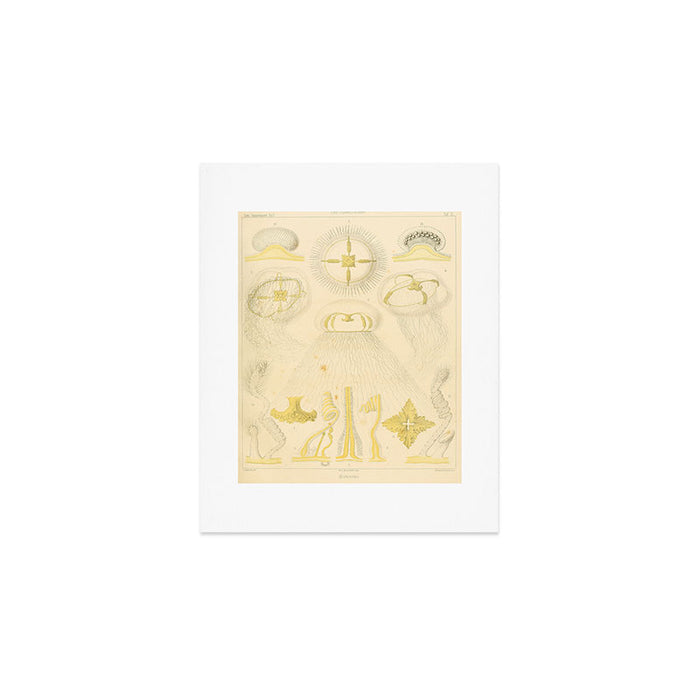 Jellyfish by Ernst Haeckel from his monograph of deep-sea medusae (1879) Art Print Gallery Image 1