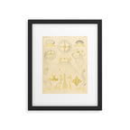 Jellyfish by Ernst Haeckel from his monograph of deep-sea medusae (1879) Framed Art Print Gallery Image 5