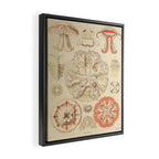 Jellyfish by Ernst Haeckel from his monograph of deep-sea medusae (1879) Framed Canvas Print Gallery Image 2