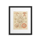 Jellyfish by Ernst Haeckel from his monograph of deep-sea medusae (1879) Framed Art Print Gallery Image 5