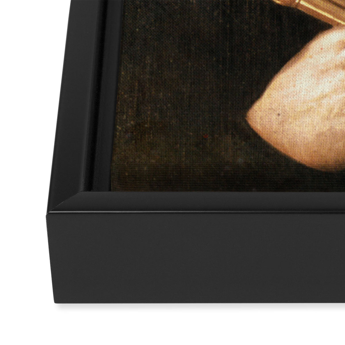 Johannes Kepler Framed Canvas Print Gallery Image 3