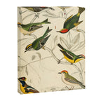 Kinglets from The Edinburgh Journal, 1835 (benefitting The Nature Conservancy) Canvas Print Gallery Image 6