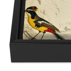 Kinglets from The Edinburgh Journal, 1835 (benefitting The Nature Conservancy) Framed Canvas Print Gallery Image 3