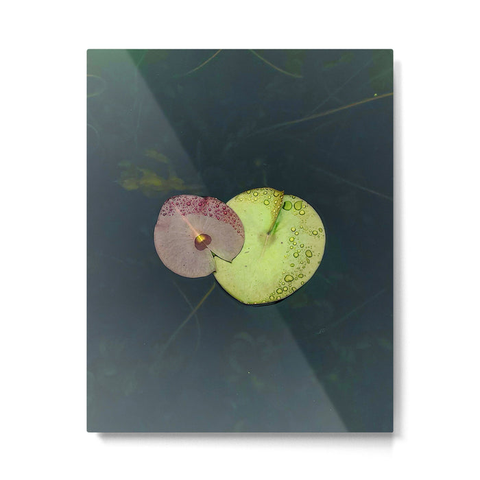Kinship Metal Print Gallery Image 1