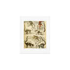 Lemurs from "The Edinburgh Journal" (1835) Art Print Gallery Image 1