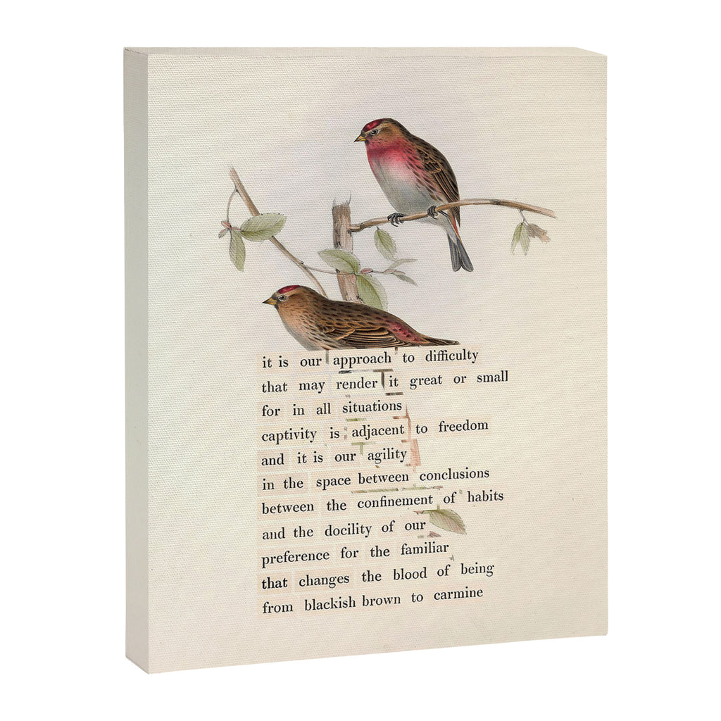 Lesser Redpole Divination from # An Almanac of Birds # Divinations for Uncertain Days Canvas Print Gallery Image 6
