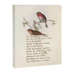 Lesser Redpole Divination from # An Almanac of Birds # Divinations for Uncertain Days Canvas Print Gallery Image 6