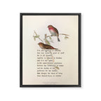 Lesser Redpole Divination from # An Almanac of Birds # Divinations for Uncertain Days Framed Canvas Print Gallery Image 6