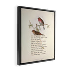 Lesser Redpole Divination from # An Almanac of Birds # Divinations for Uncertain Days Framed Canvas Print Gallery Image 2