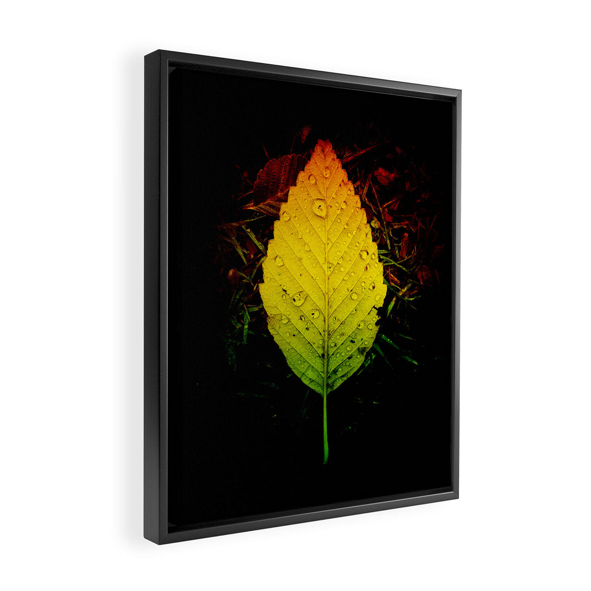Life and Loss Are One Framed Canvas Print Gallery Image 2