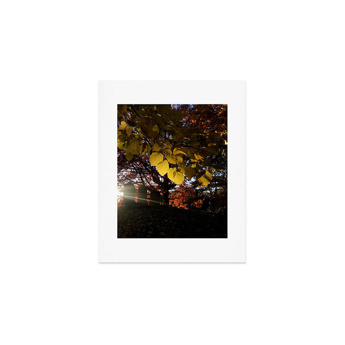 Liminal Days Art Print Gallery Image 1