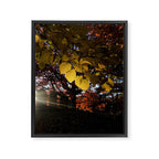 Liminal Days Framed Canvas Print Gallery Image 6