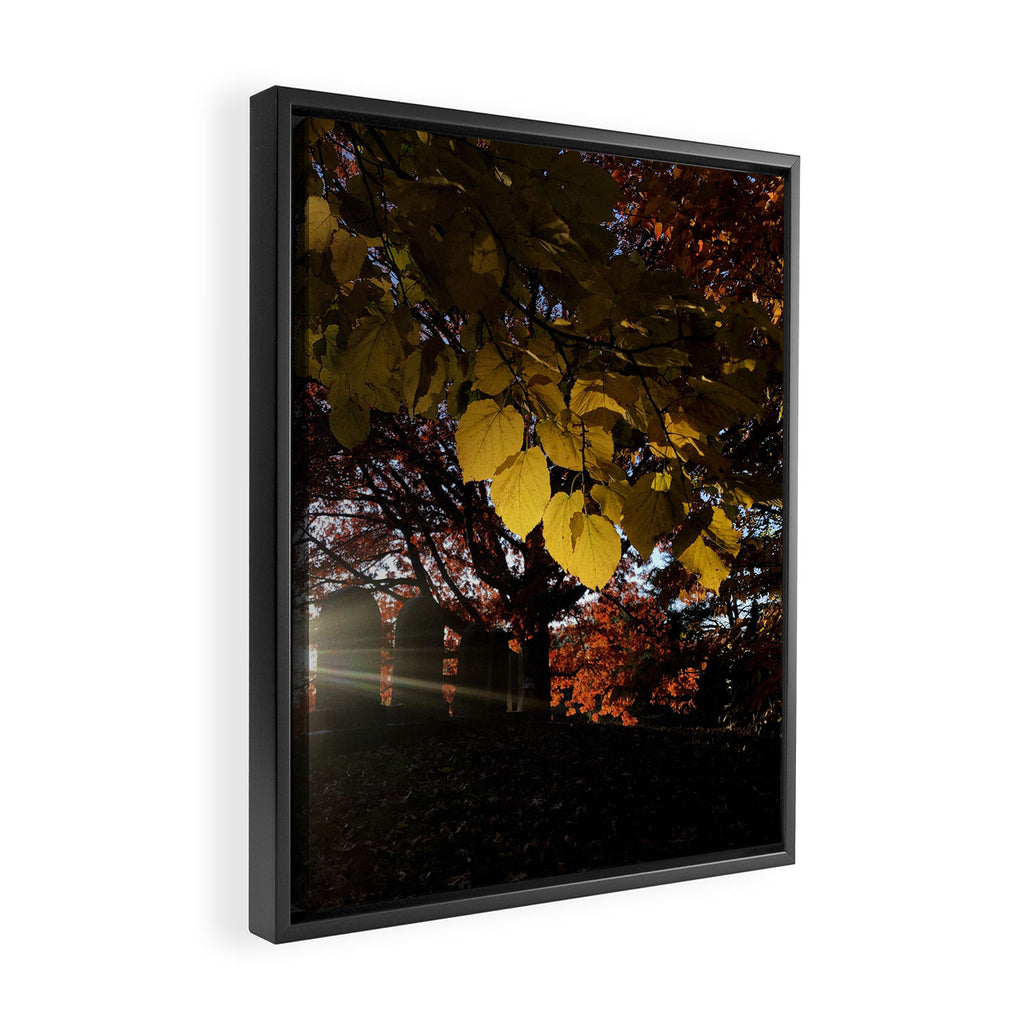 Liminal Days Framed Canvas Print Gallery Image 2