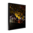 Liminal Days Framed Canvas Print Gallery Image 2