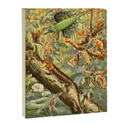 Lizards from "Brehms Tierleben," 1860s Canvas Print Gallery Image 6