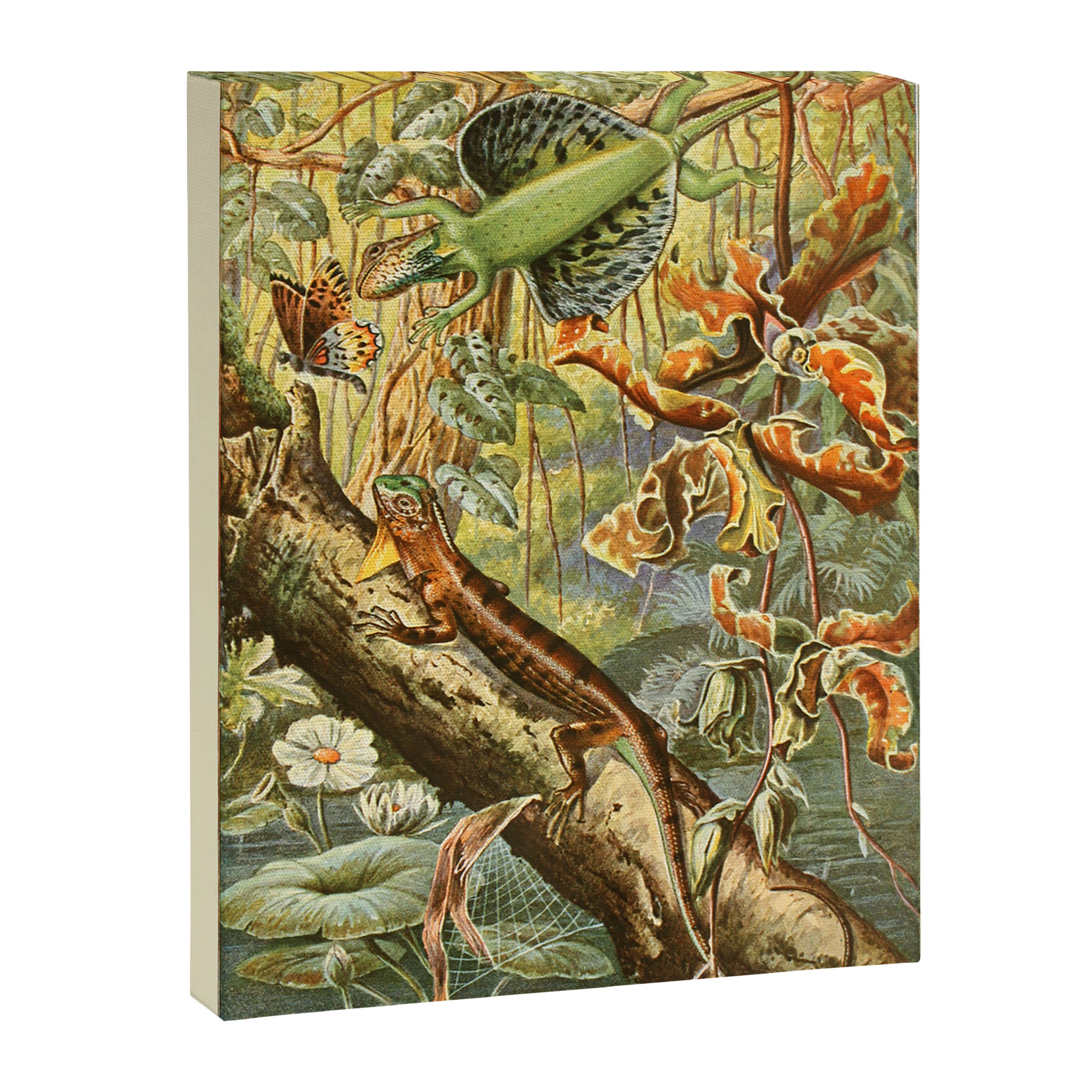 Lizards from "Brehms Tierleben," 1860s Canvas Print Gallery Image 6