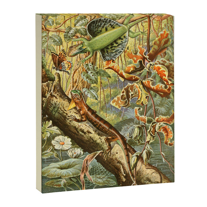 Lizards from "Brehms Tierleben," 1860s Canvas Print Gallery Image 1