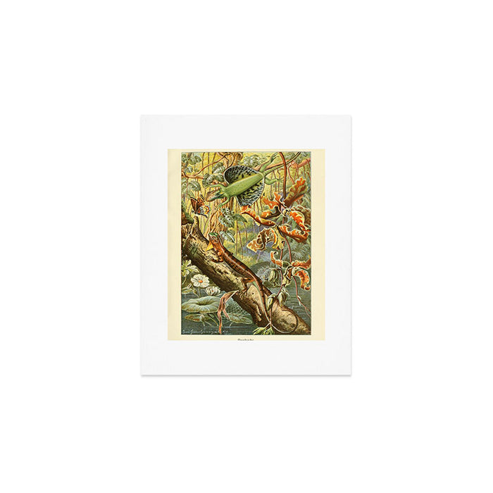 Lizards from "Brehms Tierleben," 1860s Art Print Gallery Image 1