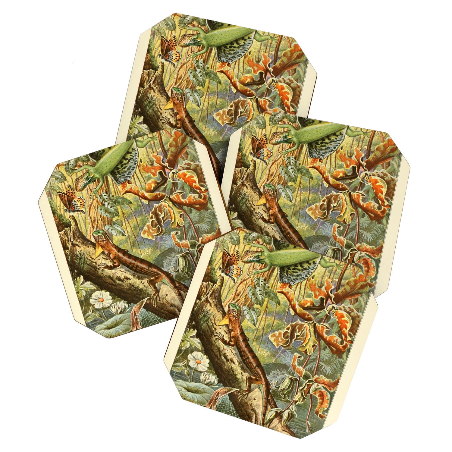 Lizards from "Brehms Tierleben," 1860s Coaster Gallery Image 1
