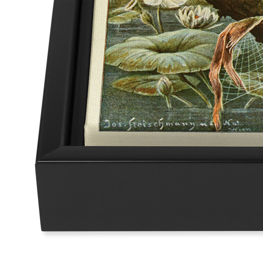 Lizards from "Brehms Tierleben," 1860s Framed Canvas Print Gallery Image 3