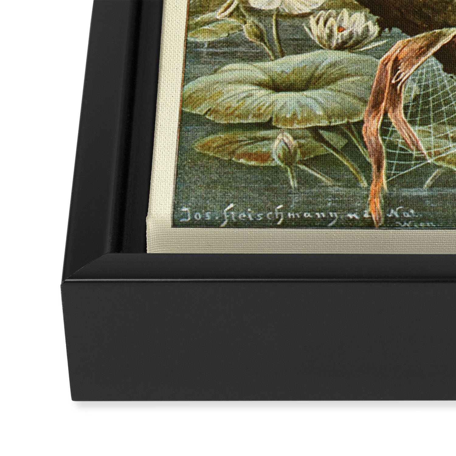 Lizards from "Brehms Tierleben," 1860s Framed Canvas Print Gallery Image 3