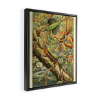 Lizards from "Brehms Tierleben," 1860s Framed Canvas Print Gallery Image 2