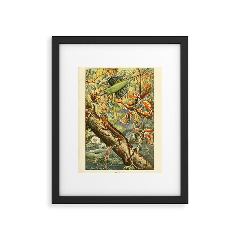 Lizards from "Brehms Tierleben," 1860s Framed Art Print Gallery Image 5