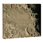Mare Humorum by Étienne Léopold Trouvelot (1875) Canvas Print Gallery Image 12
